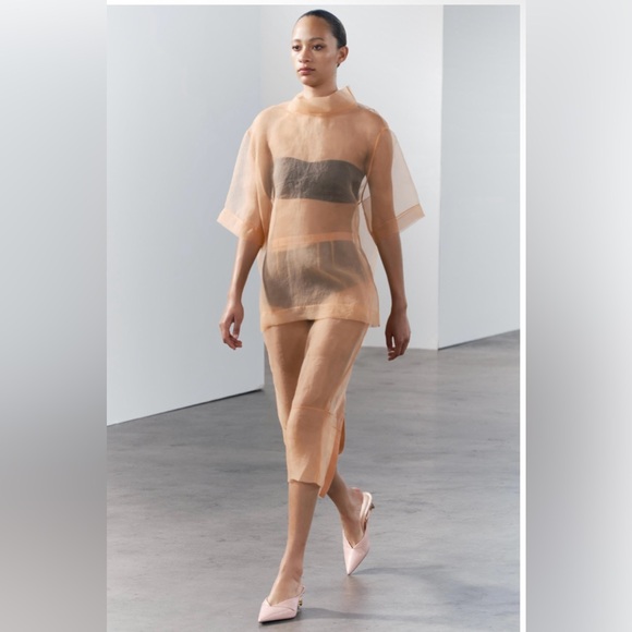 Organza Sheer Skirt - Picture 2 of 6